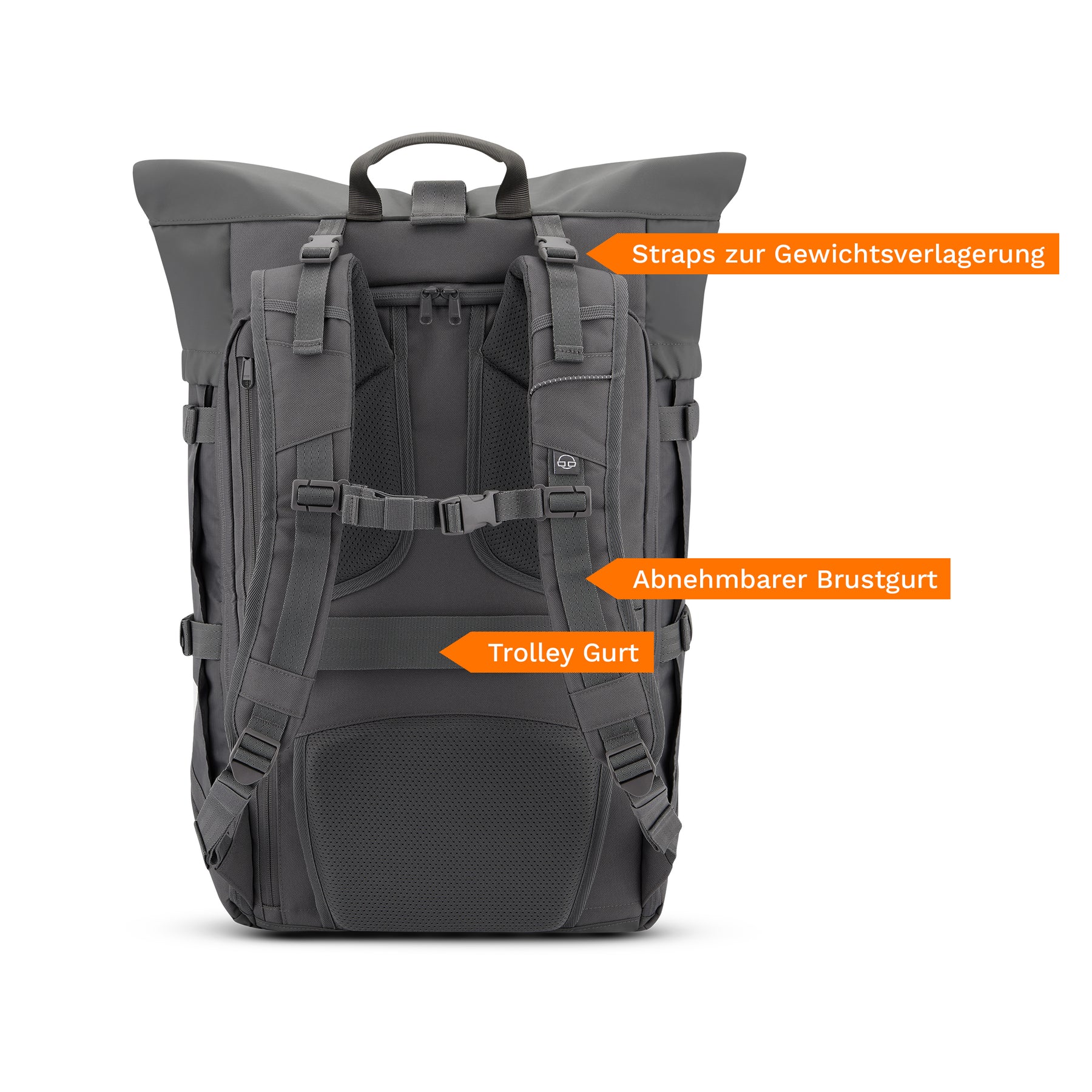 Sicht auf die Rückseite des grauen Reiserucksacks Allen XL Travel mit verstellbaren Trägern und Gepäckgurten