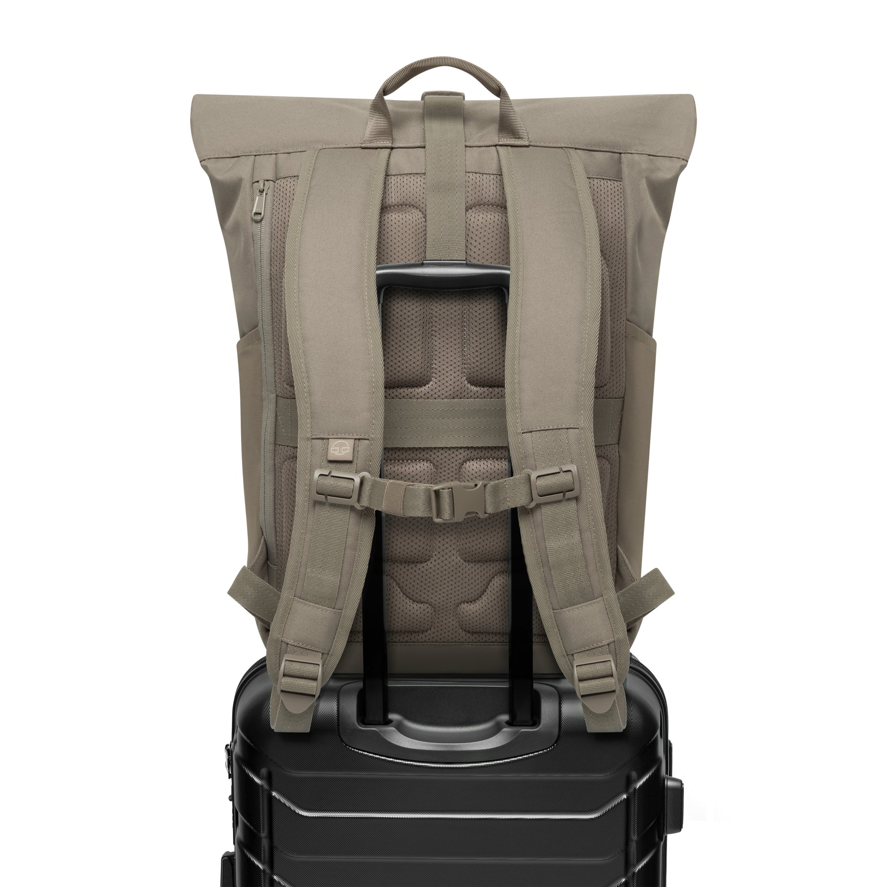 Rückansicht des taupefarbenen Rolltop-Rucksacks 'Allen Large' auf schwarzem Handgepäckkoffer mit Teleskopgriff