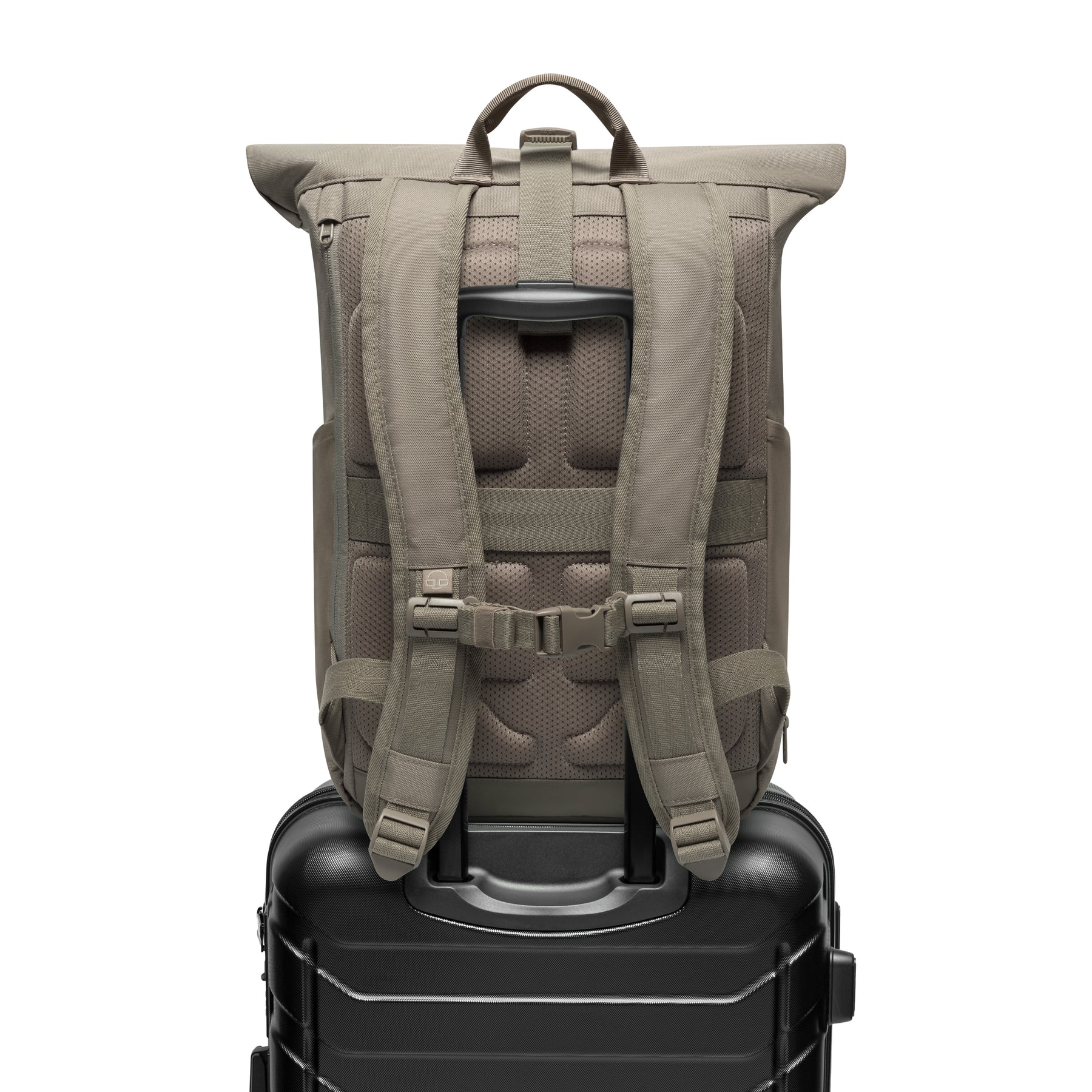 Hellbrauner Rolltop Rucksack 'Allen Medium' mit gepolsterten Schulterriemen auf schwarzem Trolley-Griff