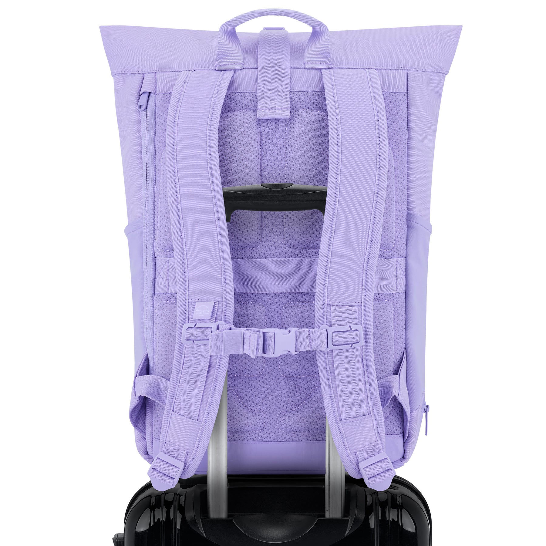 Rolltop Rucksack 'Allen Medium' in flieder/lila auf schwarzem Reisekoffer mit Teleskopgriff