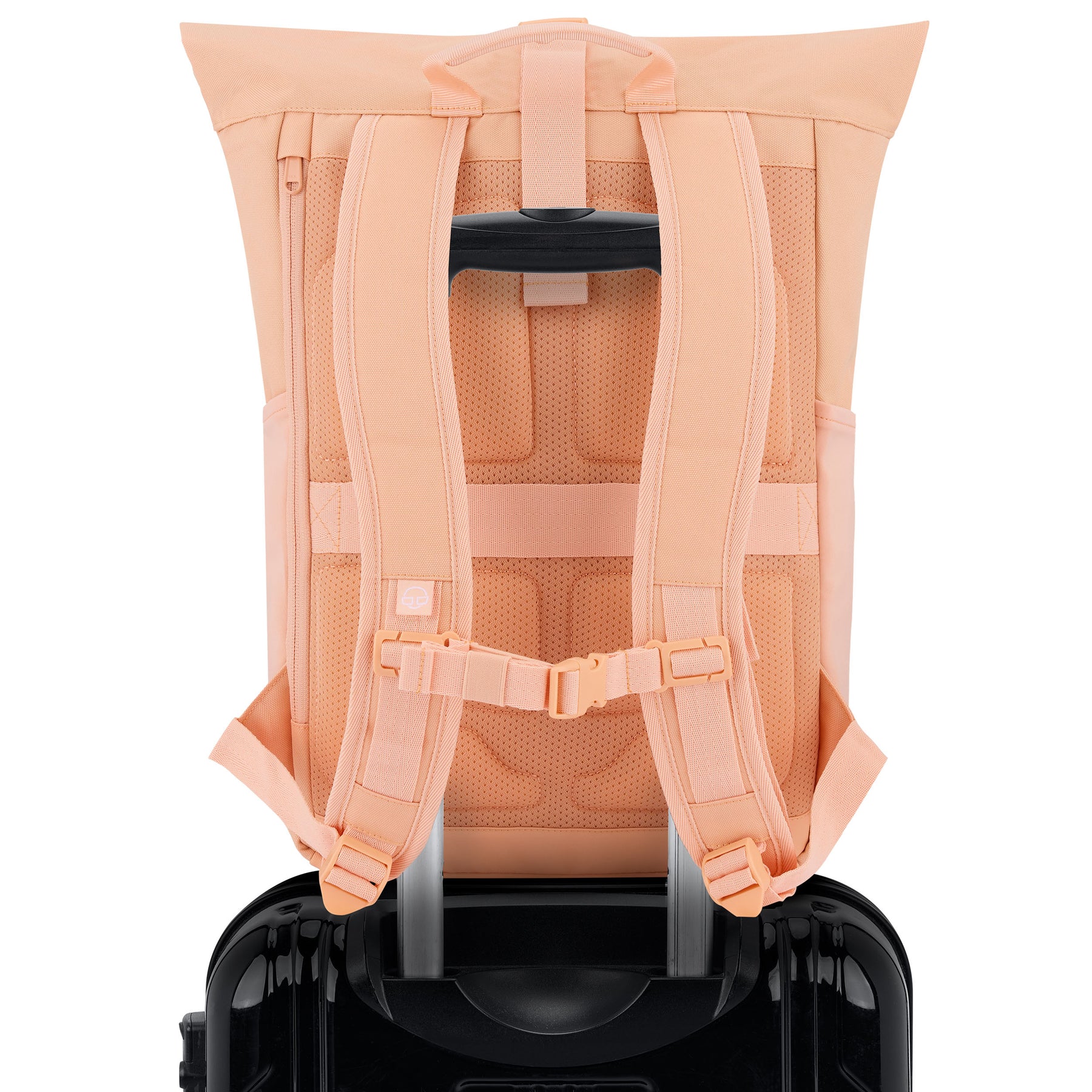 Rückansicht des hellen Rolltop Rucksacks Allen Medium in Pfirsich, befestigt an einem schwarzen Rollkoffer