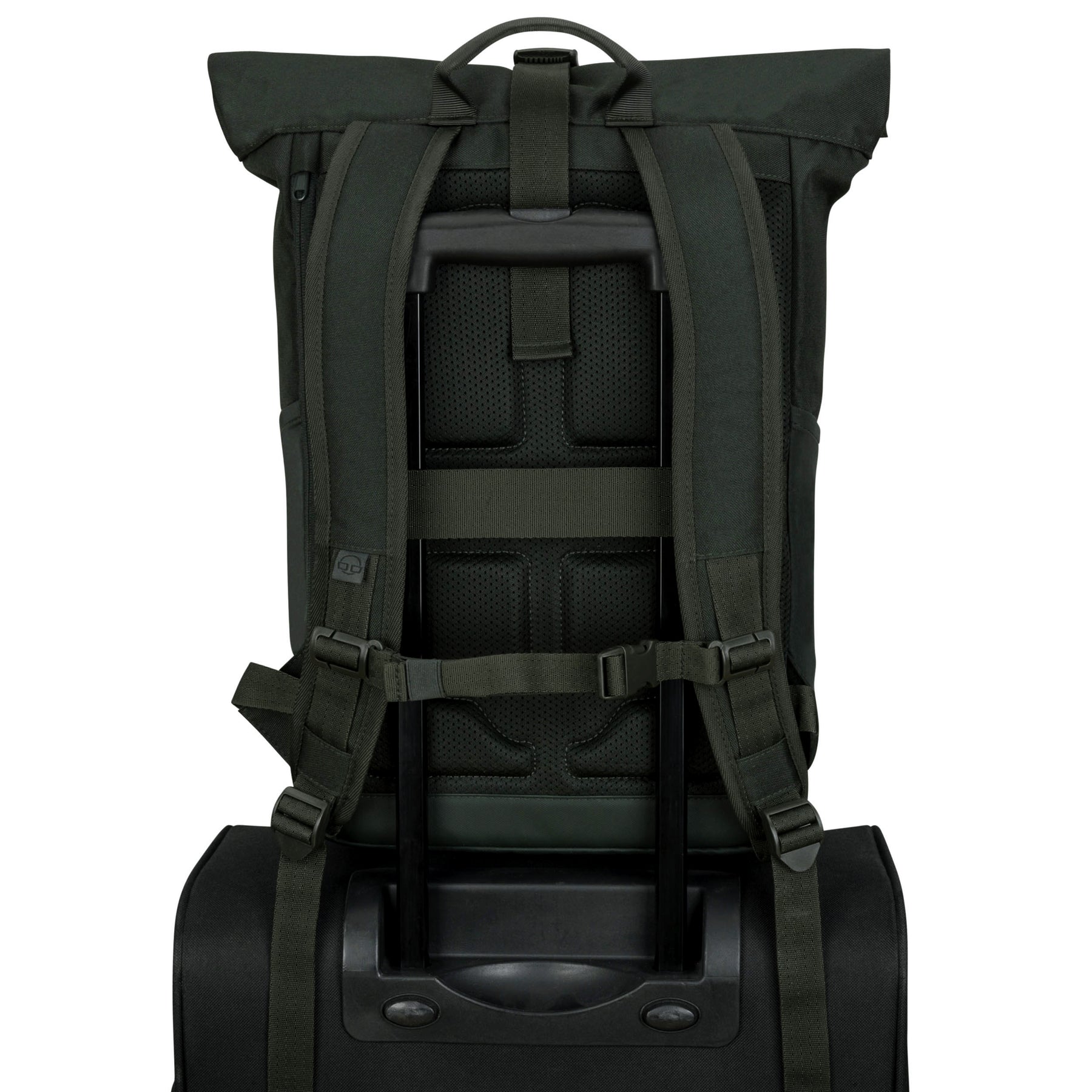 Rolltop Rucksack Allen Medium von Johnny Urban in schwarz, Rückansicht mit gepolsterten Schultergurten und Reisekofferbefestigung