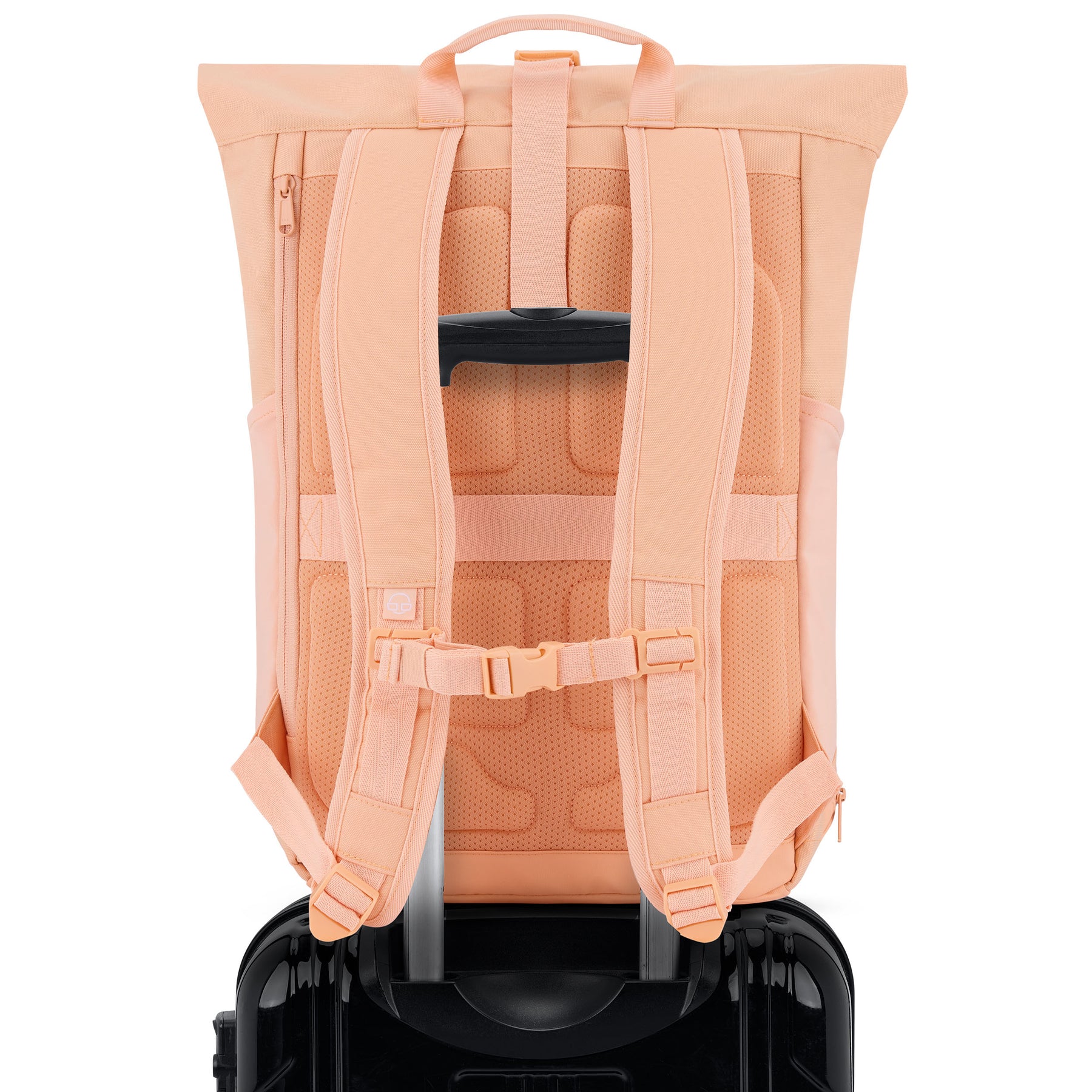 Rückseite des pfirsichfarbenen Rolltop Rucksacks 'Allen Large' auf schwarzem Trolley-Griff befestigt