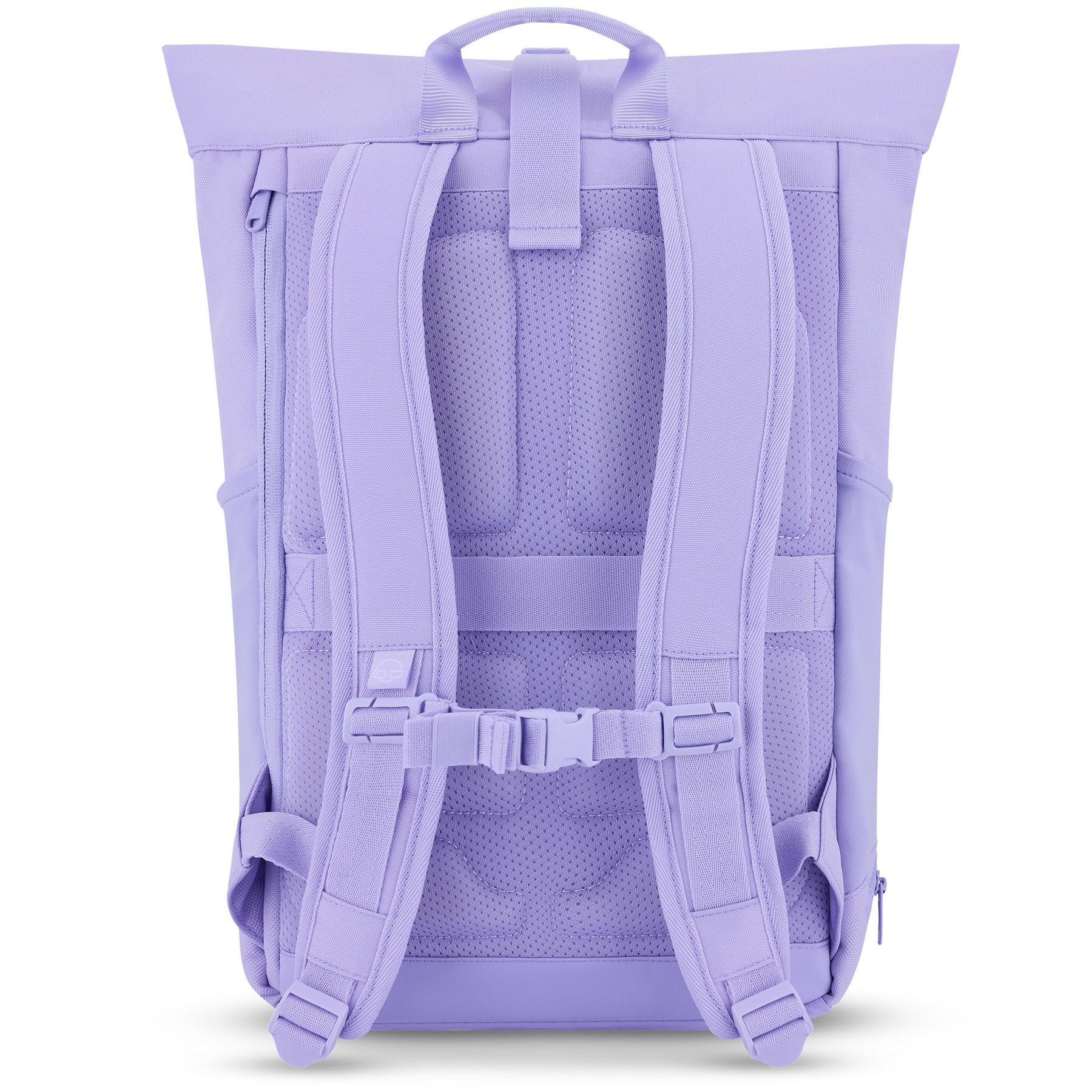 Rückseite des Rolltop-Rucksacks ‚Allen Medium‘ in Flieder mit gepolsterten Trägern und Rückenbereich