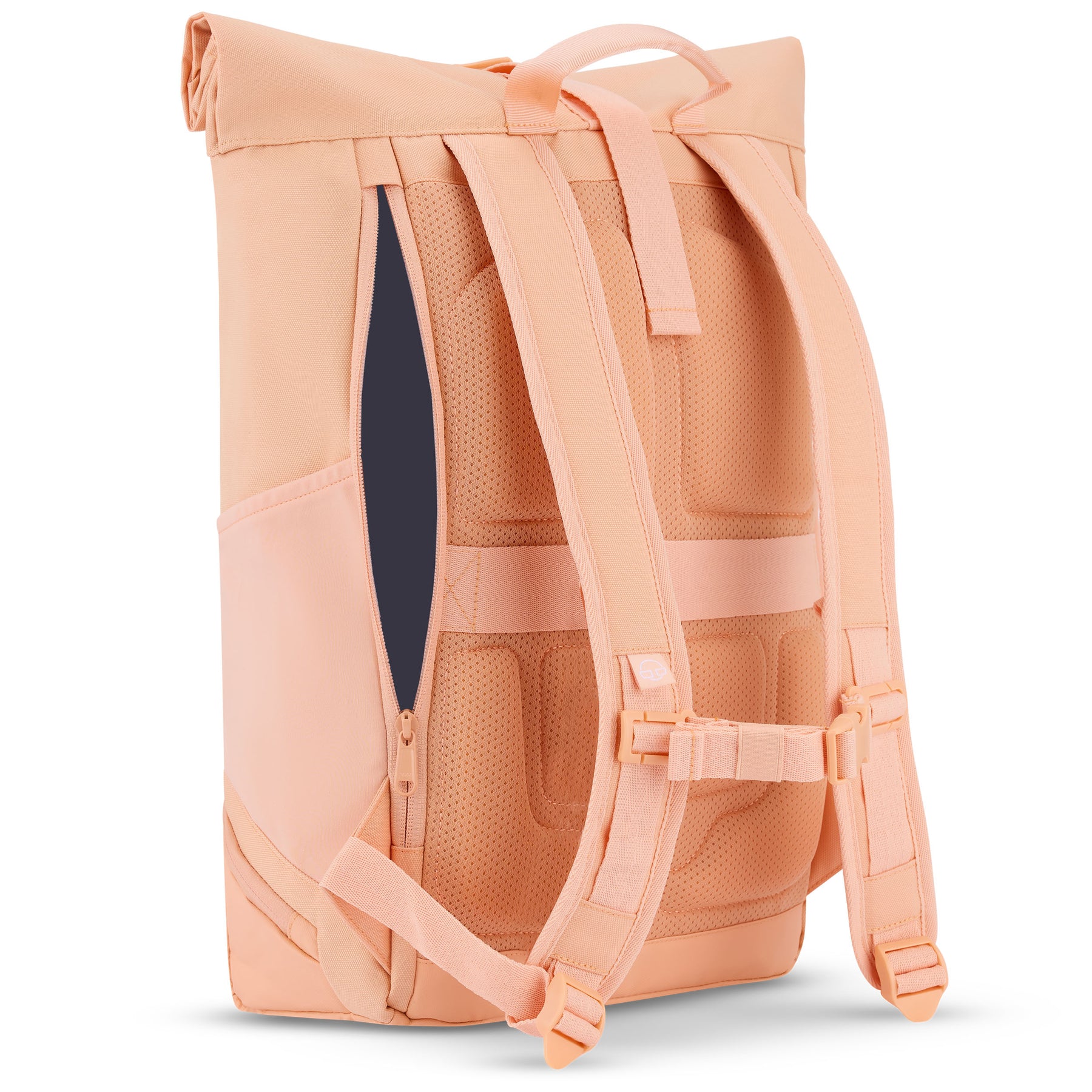 Rolltop-Rucksack Allen Medium in modernem Pfirsich, Rückseite mit gepolsterten Trägern und Belüftungspolster
