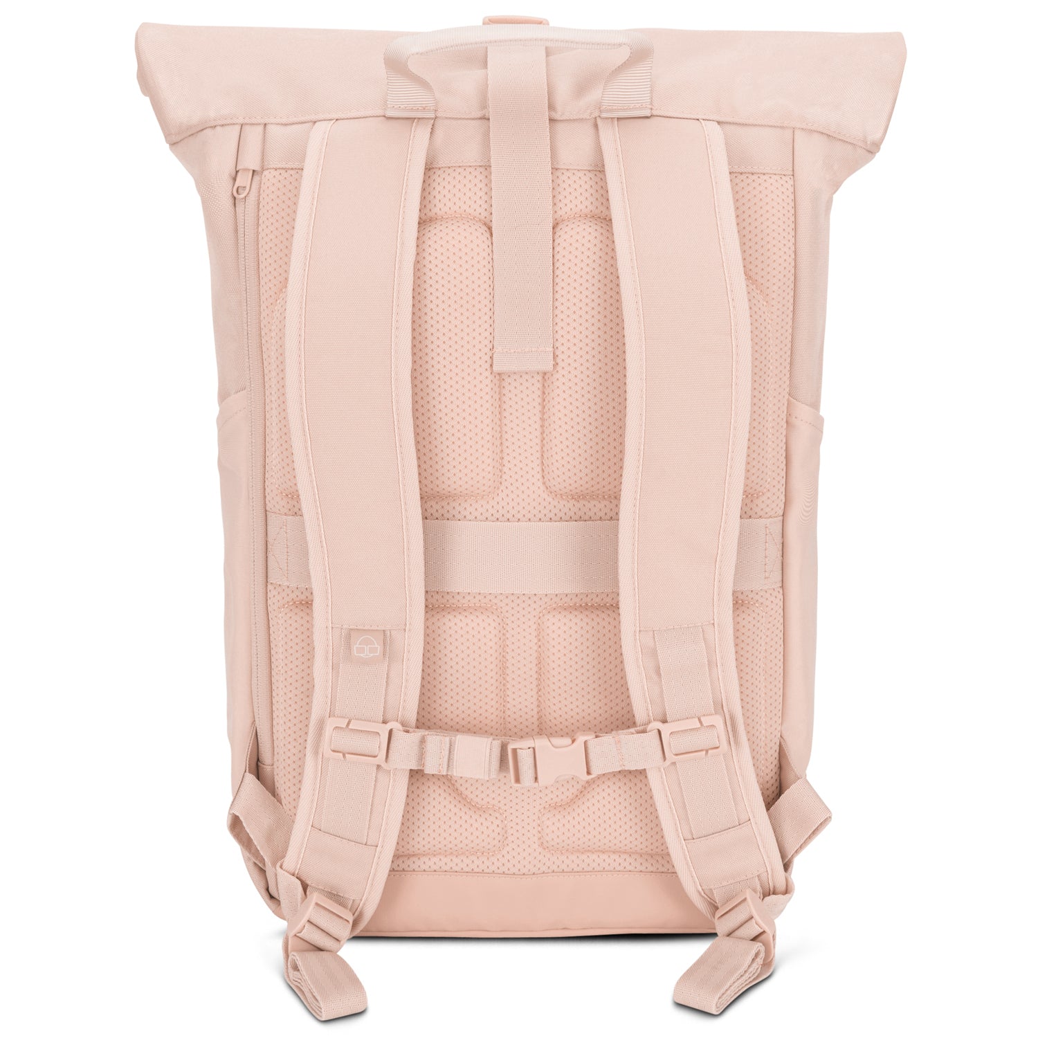 Rückansicht des Rolltop Rucksacks Allen Large in Rosa mit gepolsterten Trägern und atmungsaktivem Rückenpolster
