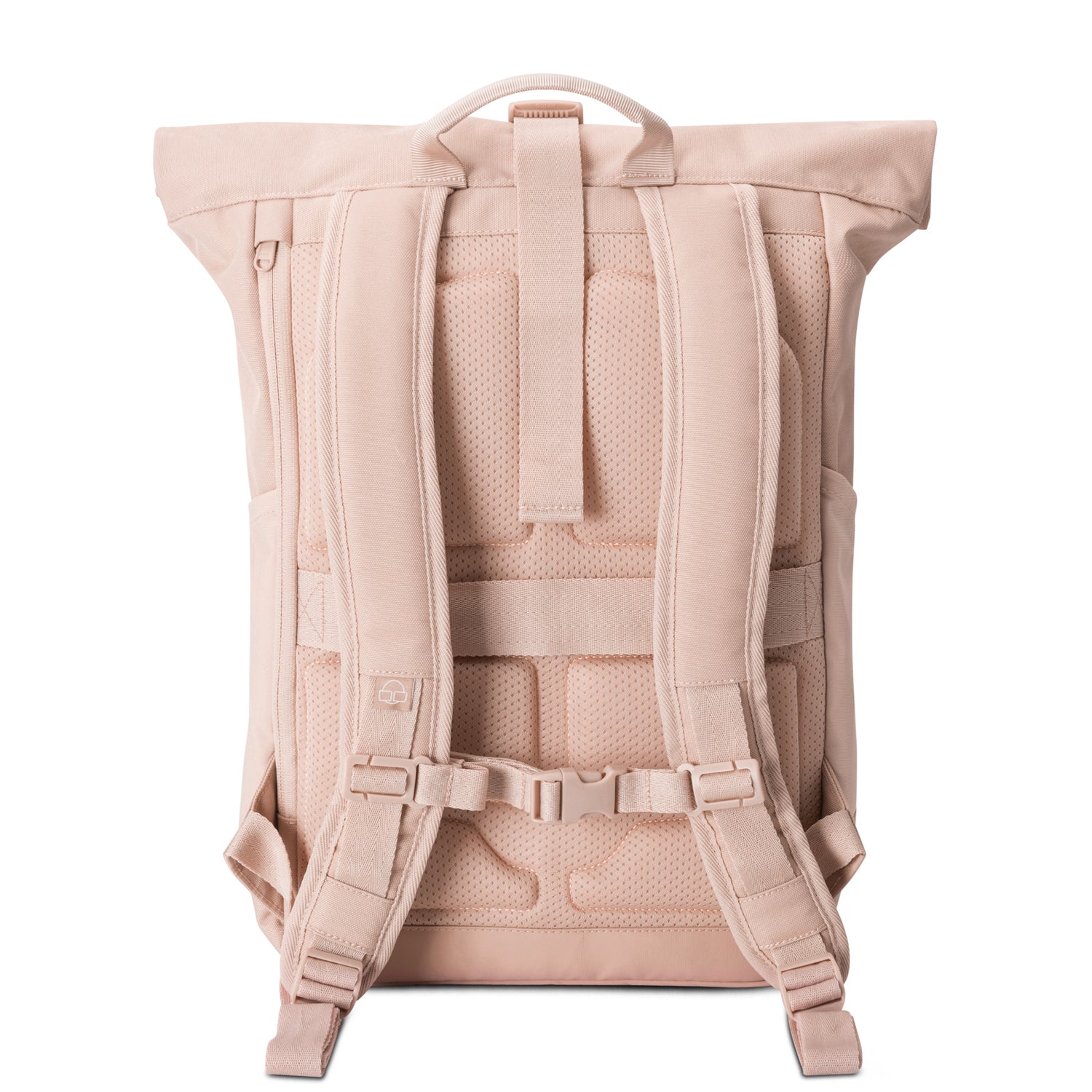 Rückansicht des rosa Rolltop Rucksacks 'Allen Medium' mit gepolsterten Trägern und Rückenbereich