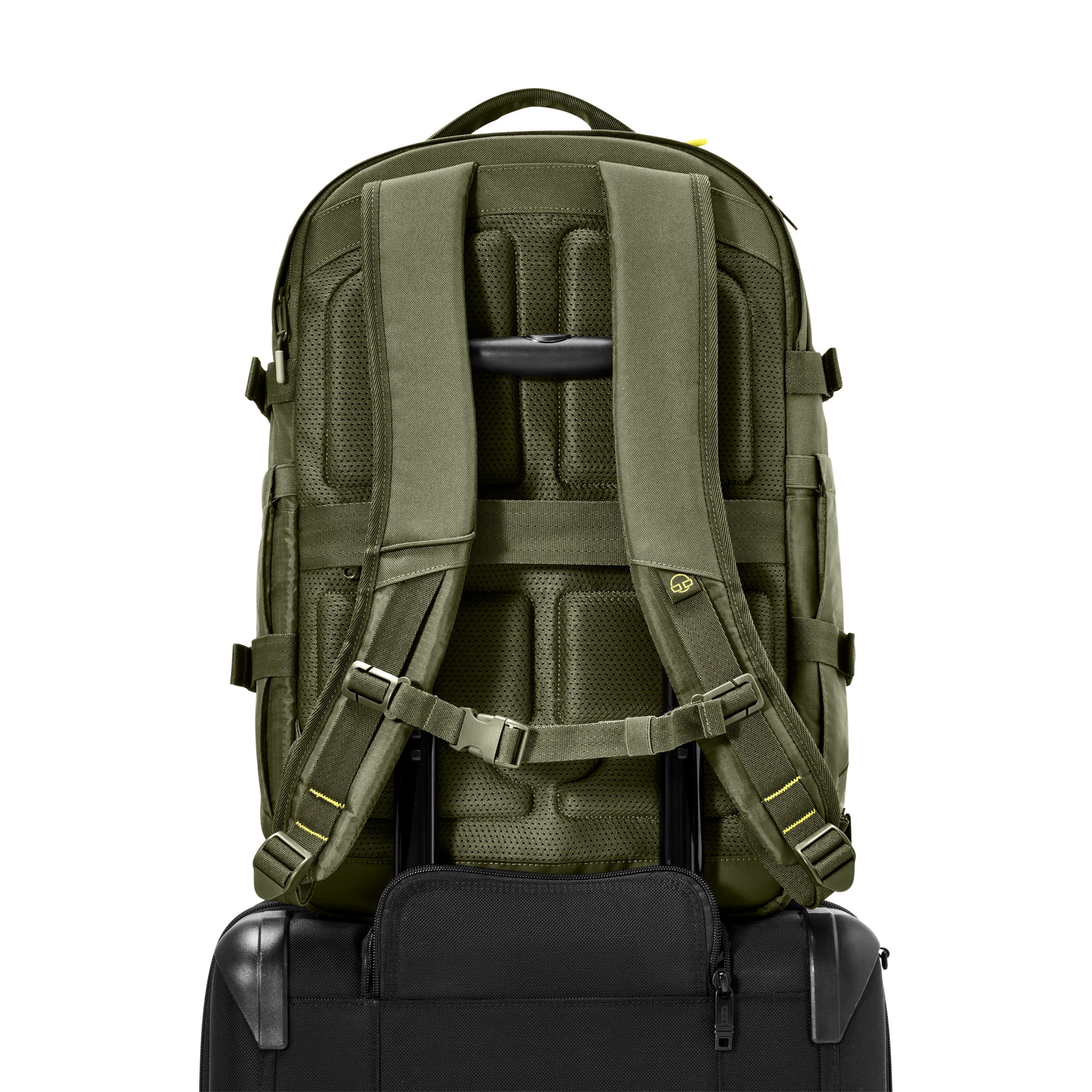 Olivgrüner Rucksack 'Jack' von Johnny Urban auf einem schwarzen Koffer montiert, gepolsterte Rückseite und verstellbare Schultergurte sichtbar