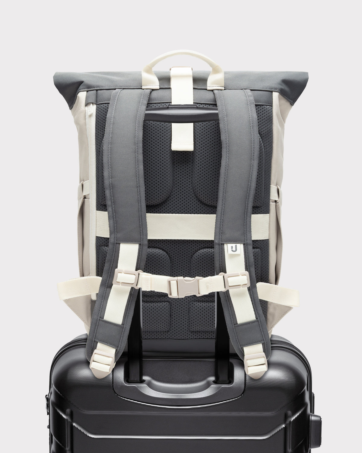Rolltop Backpack "Allen Medium 2.0"