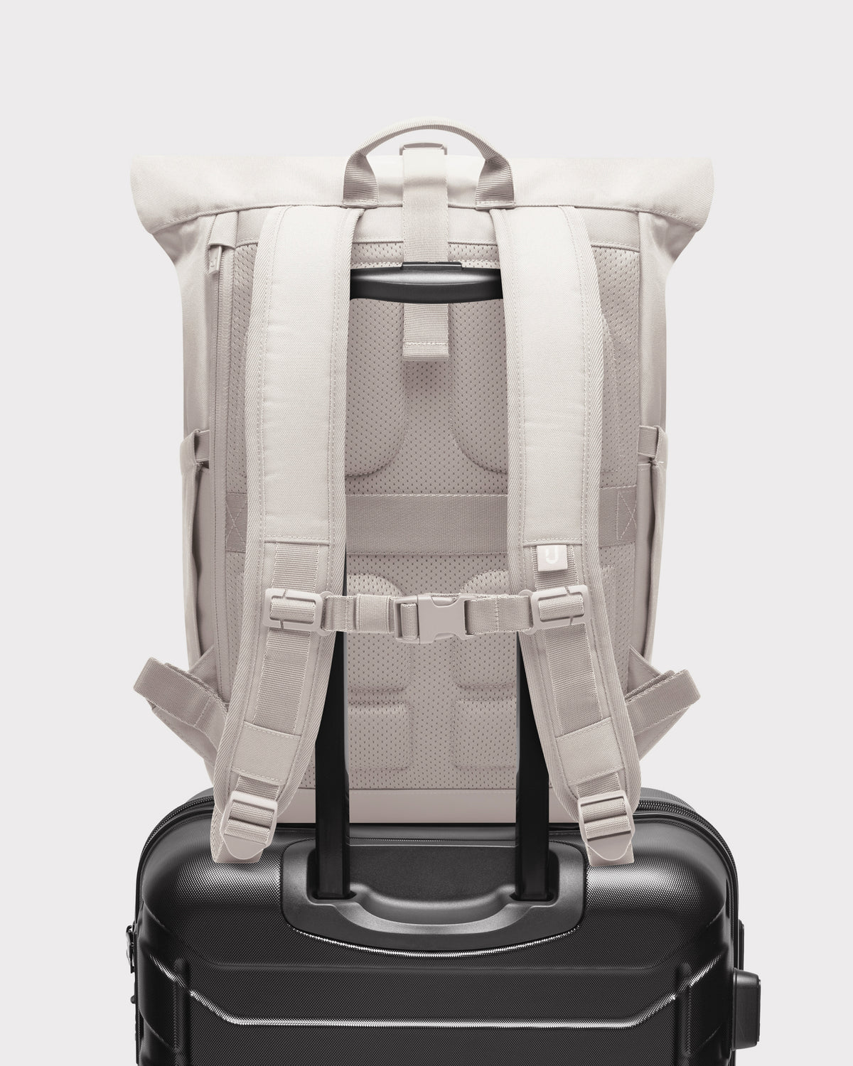Rolltop Backpack "Allen Medium 2.0"