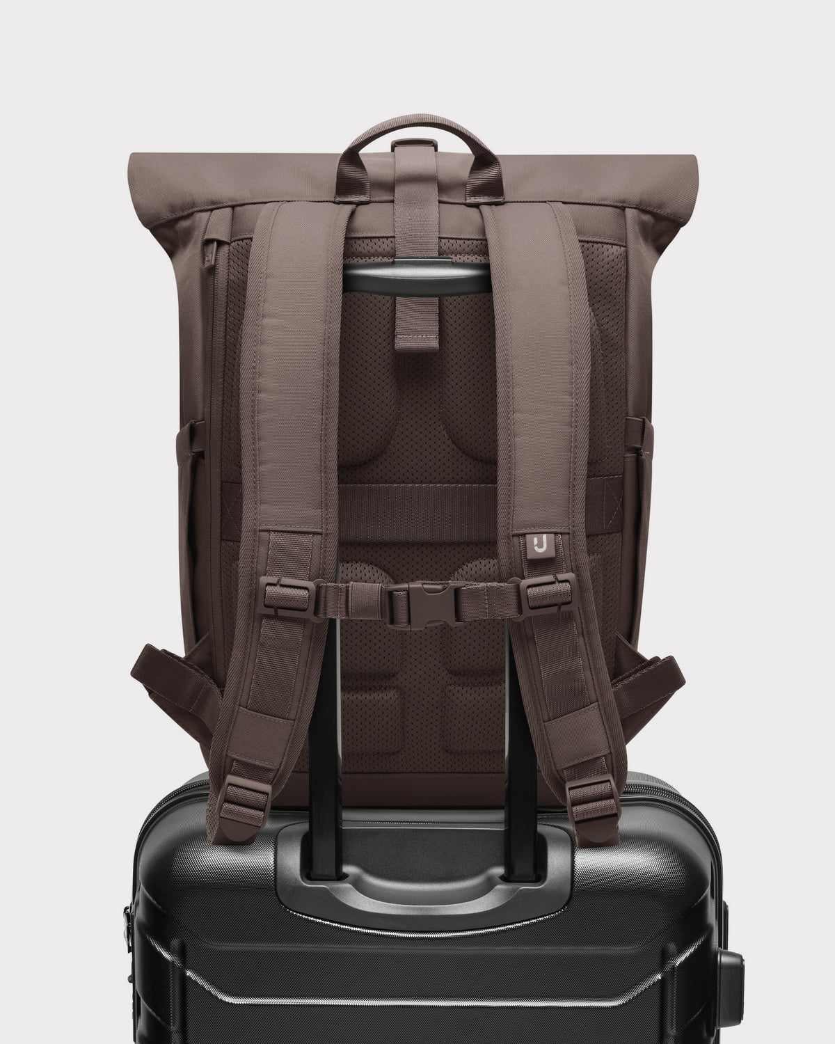 Rolltop Backpack "Allen Medium 2.0"