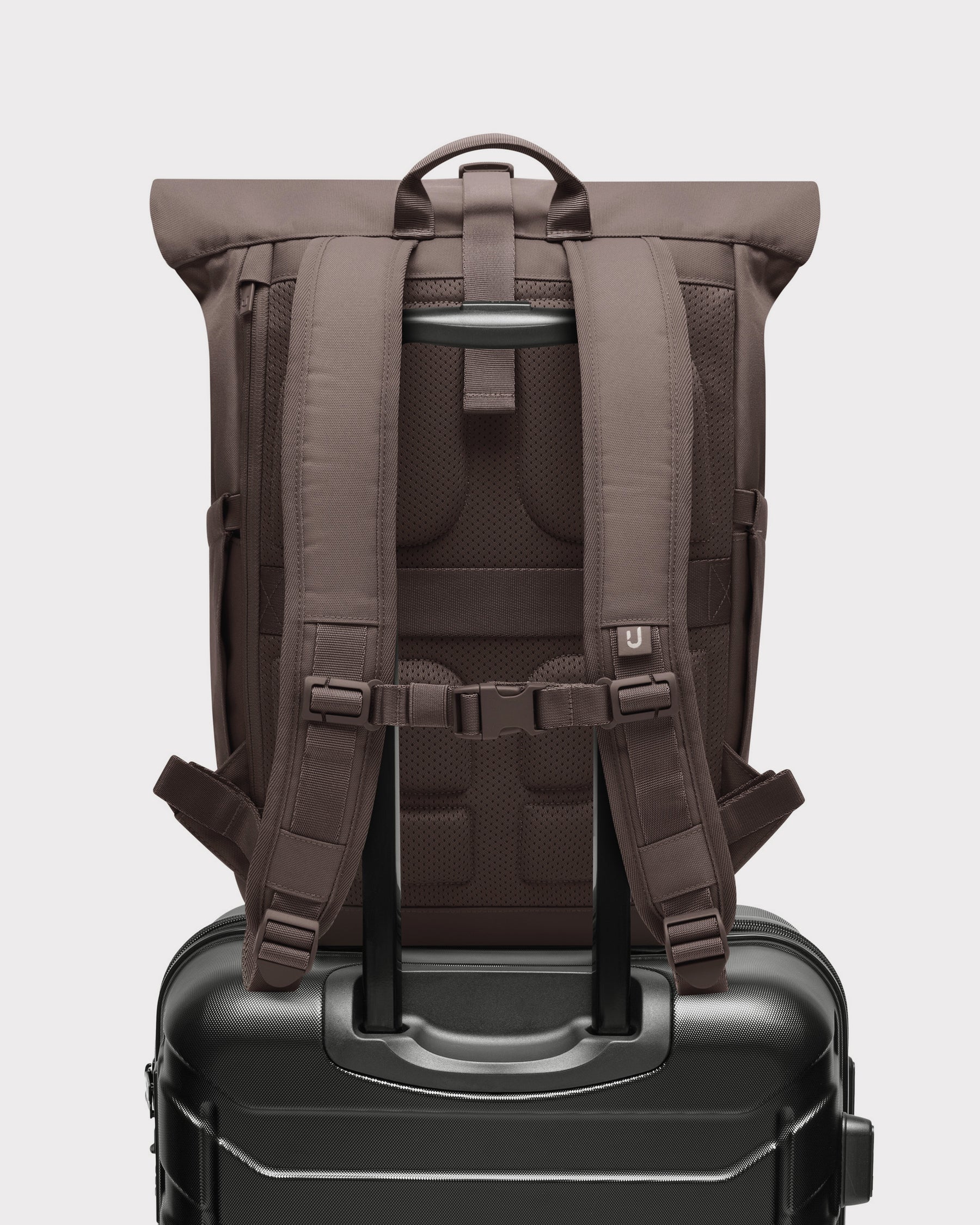 Rolltop Rucksack "Allen Medium 2.0"