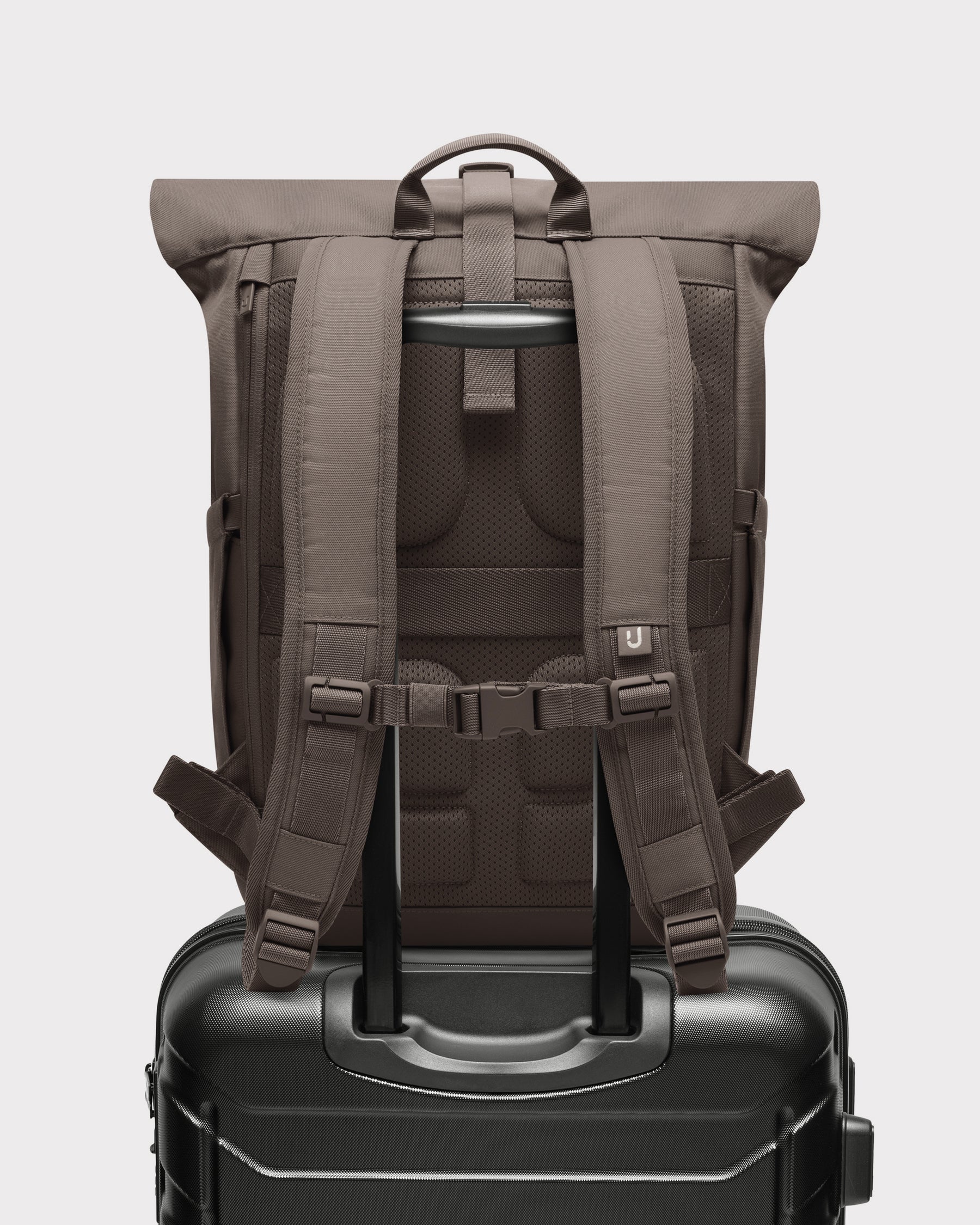 Rolltop Rucksack "Allen Medium 2.0"