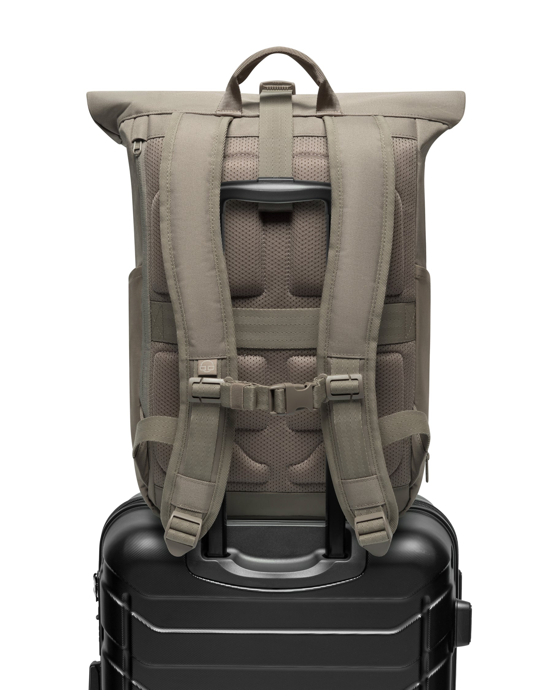 Rolltop Rucksack "Allen Medium"