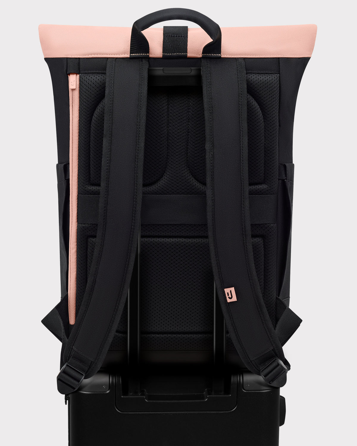 Rolltop Backpack "Allen Medium"