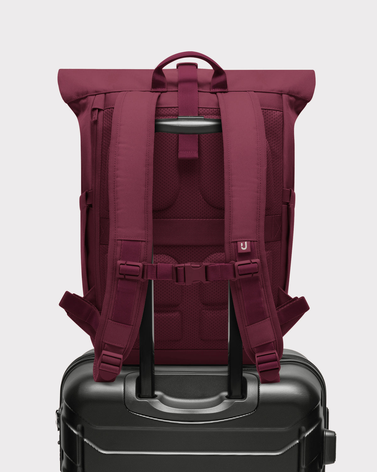 Rolltop Backpack "Allen Medium 2.0"