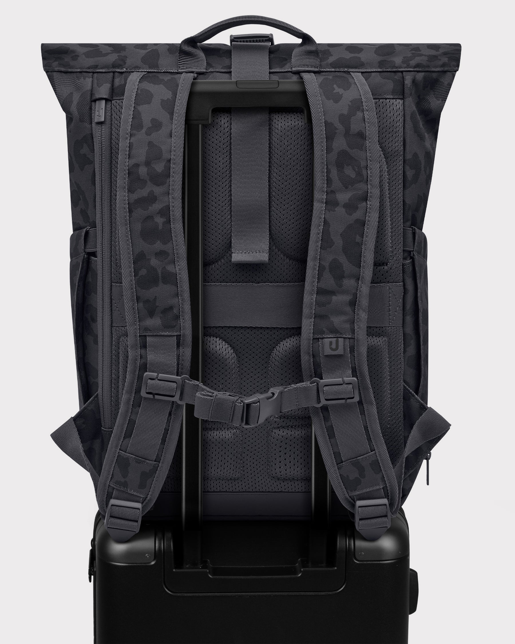 Rolltop Backpack "Allen Medium 2.0"