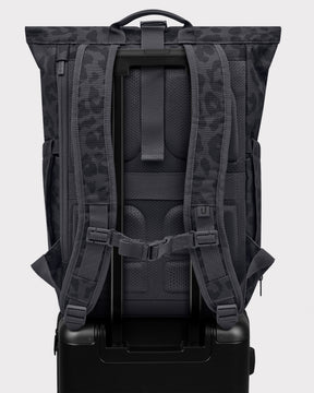 Rolltop Backpack "Allen Medium 2.0"