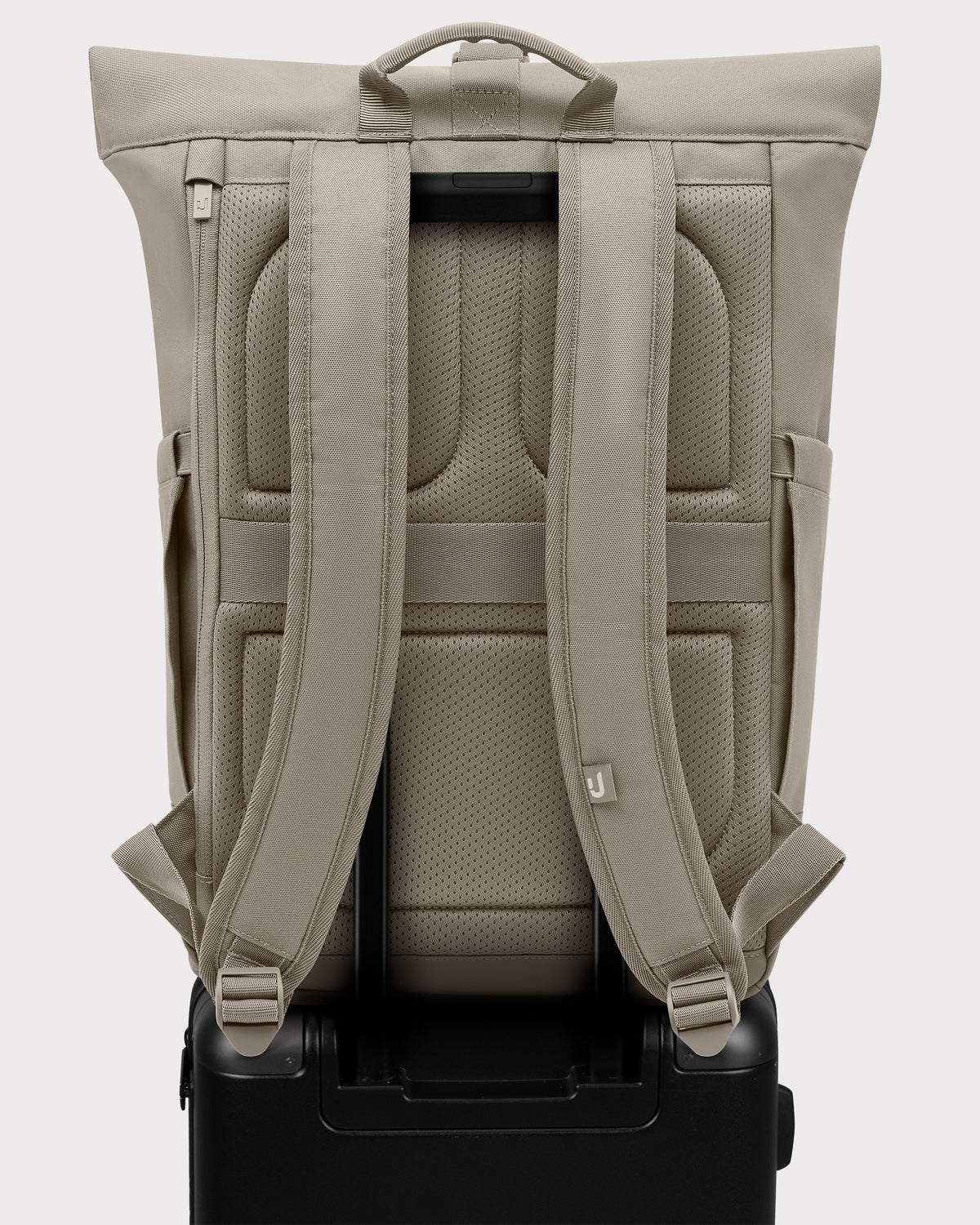 Rolltop Backpack "Allen Medium"
