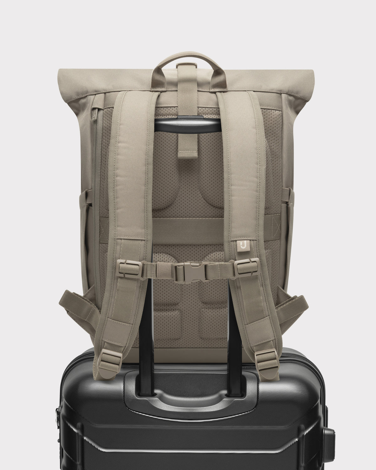 Rolltop Backpack "Allen Medium 2.0"