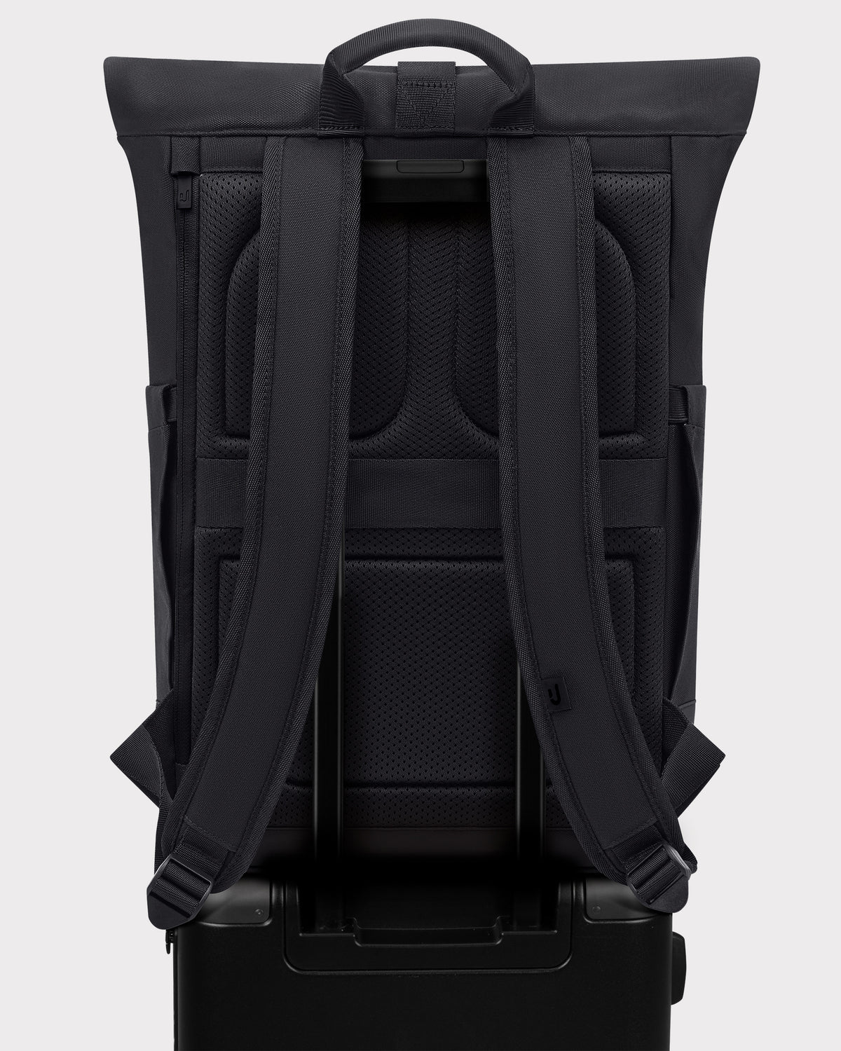 Rolltop Backpack "Allen Medium"